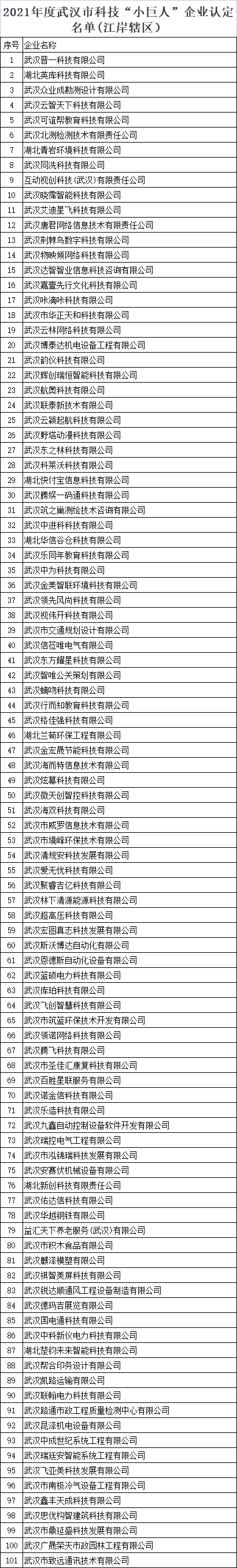 武汉市科技小巨人企业