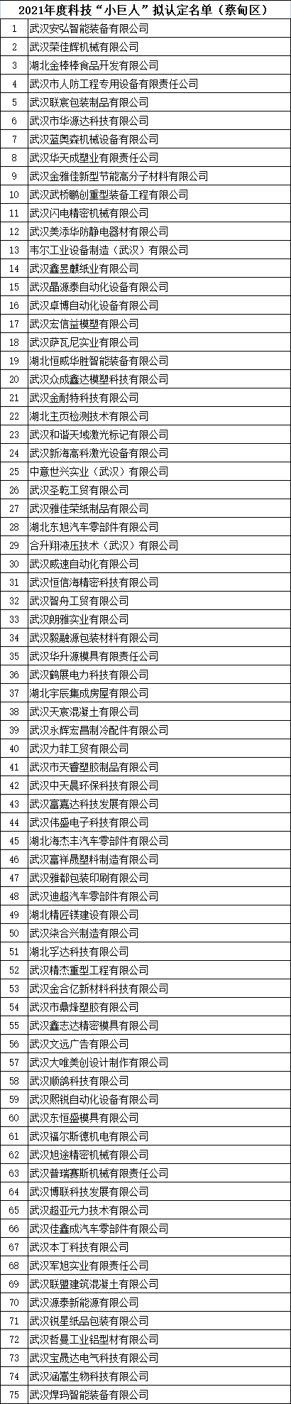 武汉市科技小巨人企业名单