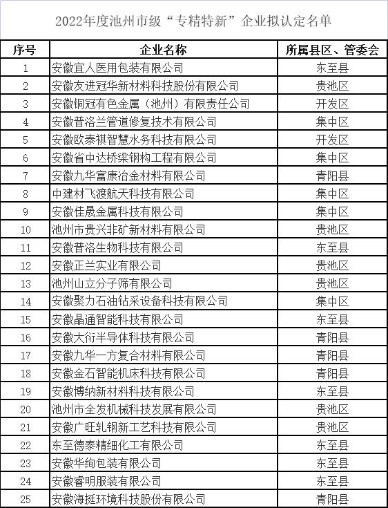 池州市专精特新中小企业名单